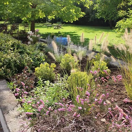 לינה וארוחת בוקר Maria Petit-Réderching