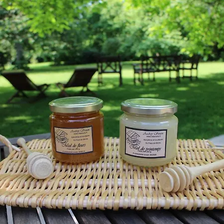 Maria לינה וארוחת בוקר Petit-Réderching