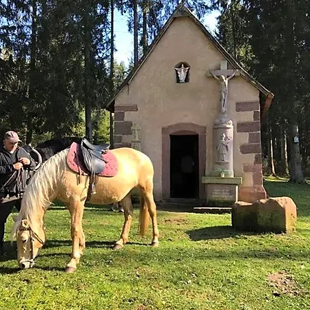 Frühstückspension Maria 3*